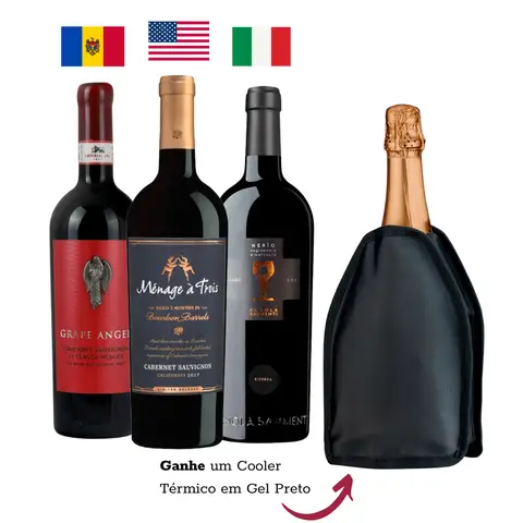 Combo 3 Vinhos Tintos + Brinde Cooler Térmico Preto