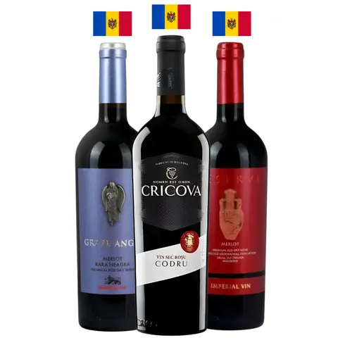 Kit Tintos da Moldávia