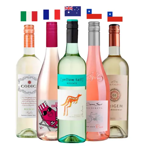 Combo Sol, Risadas e Vinho! 750ml
