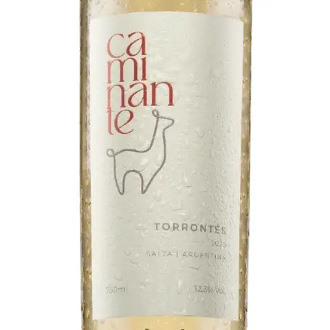 Vinho Branco Caminante Torrontés 750ml