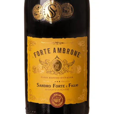 Vinho Tinto Forte Ambrone Selezione Exclusiva 750ml