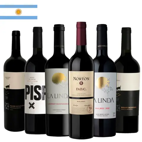 Combo 6 Tintos Argentinos até R$100
