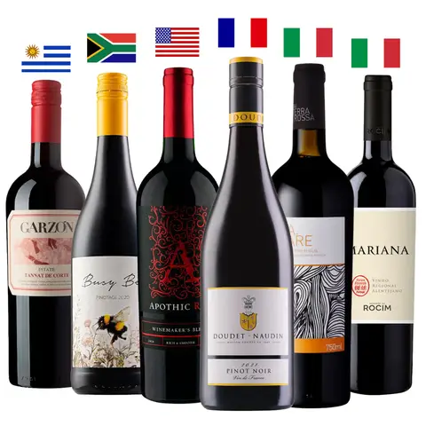 Combo Evoluir no Mundo dos Vinhos 6 Garrafas