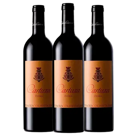 Kit 3 Garrafas Vinho Tinto Cartuxa Colheita 750ml