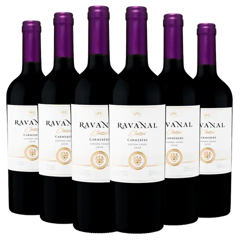 Kit 06 Garrafas Vinho Ravanal Carménère