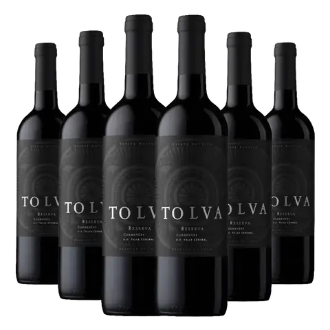 Kit 6 Garrafas Vinho Tolva Reserva Camenérè