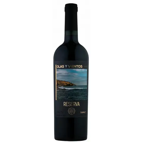 Vinho Olas Y Vientos Reserva Tannat 750ml